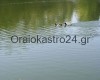 λιμνη ωραιοκαστρου,limni oraiokastrou