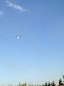 IMG_2364