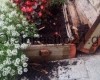20131029-151351.jpg