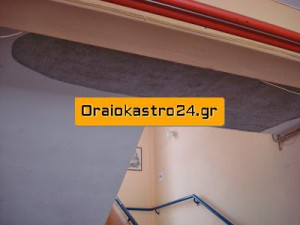 sxol d5