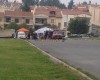 20131103-105549.jpg