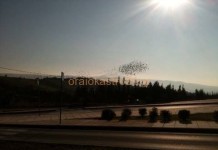Σμήνος πουλιών κόσμισε τον ουρανό μας