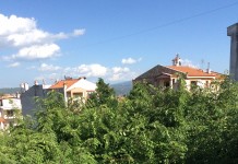 Οικόπεδο ζούγκλα