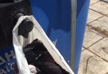 Κίνηση ανθρωπιάς σε κάδο ανακύκλωσης