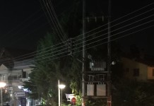 Το ΟΧΙ αιτία καβγά,φωτο