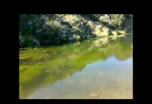 Όμορφες εικόνες με συνοδεία μουσικης