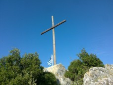 291)