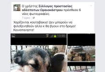 Ή θα υιοθετηθούν τα κουτάβια ή θα βγουν στον δρόμο!