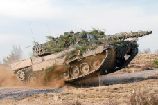 leopard-2