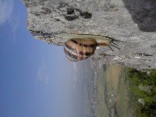 20160513_090105