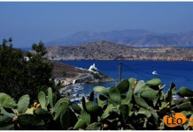''Εγδυσαν'' τουρίστες. Αστρονομικό ποσό για ένα ψάρι και μια σαλάτα (VIDEO)