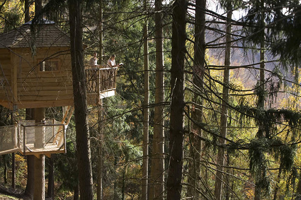 CABANES ALS ARBRES