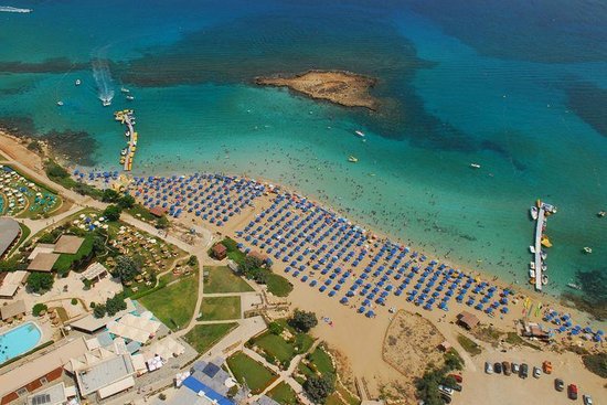 fig-tree-bay