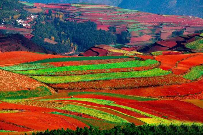 dongchuan-red-land2