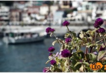 Κατακόρυφη άνοδο στις αφίξεις τουριστών τον Ιούλιο. Αισιοδοξία για χρονιά-ρεκόρ