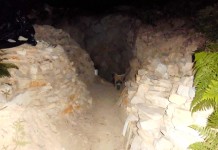 Συλλήψεις για παράβαση της νομοθεσίας περί προστασίας αρχαιοτήτων και εν γένει της πολιτιστικής κληρονομιάς