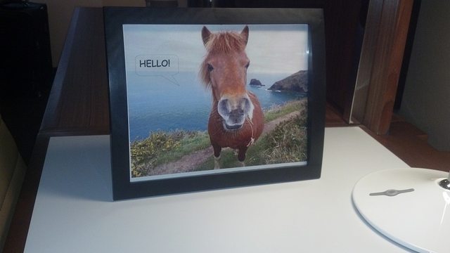 Every time my girlfriend and I go on a vacation, I ask for a picture of horse saying 