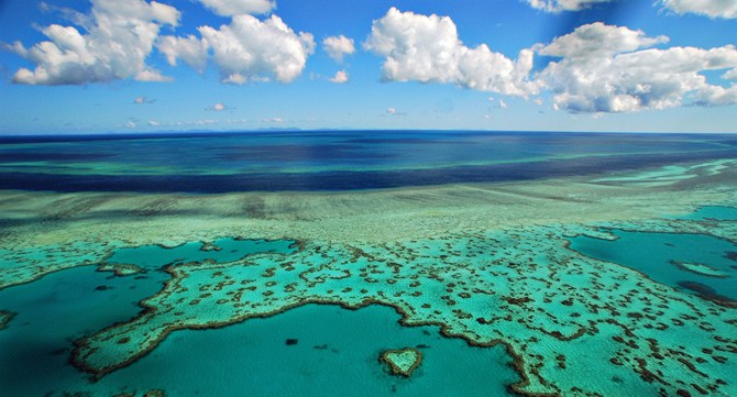 great barrier reef