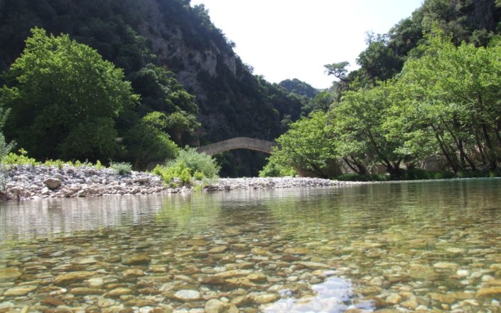 viniani
