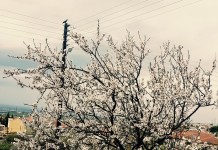 Καιρός την Κυριακή του Πάσχα: Βροχές, καταιγίδες και υψηλές θερμοκρασίες