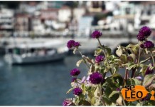 Bloggers από όλο τον κόσμο προωθούν την βιώσιμη τουριστική ανάπτυξη στην Ελλάδα