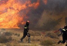 Φωτιά σε αγροτική έκταση στη Θεσσαλονίκη