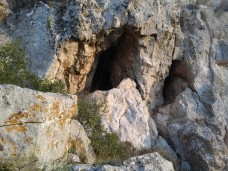 αντιγραφο 15