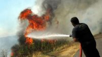 Φωτιά σε δασική έκταση στην περιοχή Νεμούτα της Ηλείας