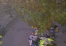 Ξεχειλίζουν κάδοι από σκουπίδια σε περιοχή της Θεσσαλονίκης (ΦΩΤΟ)