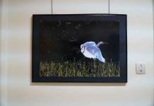 Στα εγκαίνια έκθεσης “Καλοχώρι in focus”,φωτορεπορτάζ