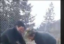 Είναι καλά το σκυλί που βασάνισαν οι στρατιώτες. Σχηματίζεται δικογραφία
