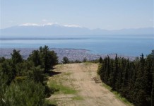 Εθελοντική δράση καθαρισμού του Σέιχ Σου την Κυριακή