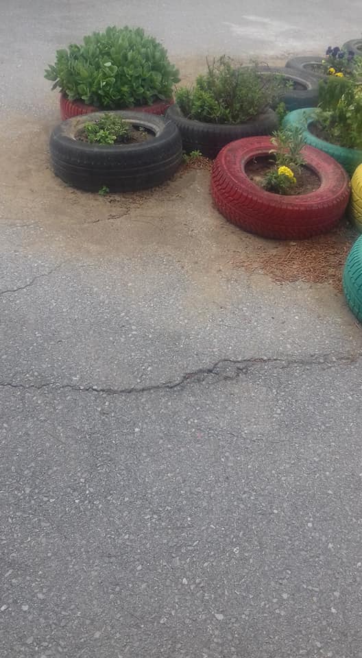 gggg