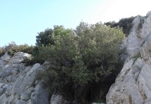 Το κρυμμένο καταφύγιο !!!!