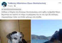 Χάθηκε!Κοινοποιήστε,κινδυνεύει