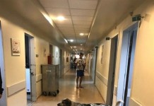 Ξέφραγο αμπέλι το ΑΧΕΠΑ.Σκυλιά και ληστές κόβουν βόλτες ανενόχλητοι