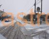 EB031E19-DB09-4E3D-BC3D-5AE2F11221CE