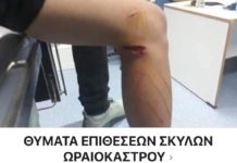 Πολίτες δημιούργησαν ομάδα καταγραφής απο επιθέσεις σκύλων στο Ωραιόκαστρο