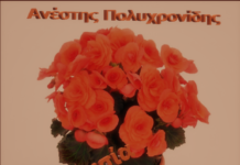 Με πορτοκαλί βιγόνιες στα προεκλογικά κέντρα των συνυποψηφίων του ο Ανέστης Πολυχρονίδης