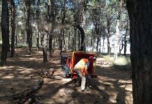 Θεσσαλονίκη:Οξύμωρο αλλά πραγματικό Κόβουν δέντρα και οι φίλοι δάσους χαίρονται