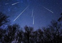 Απόψε δεν κοιμάται κανείς Θα δουμε τα πεφταστέρια