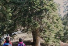 Έρευνες εντοπισμού πεζοπόρων που χάθηκαν στον Χορτιάτη