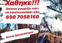 Χάθηκε! Κοινοποιήστε να βρεθεί