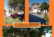 Ωραιόκαστρο: η εθελοντική δράση καθαριότητας αλλάζει την εικόνα της Νεοχωρούδας
