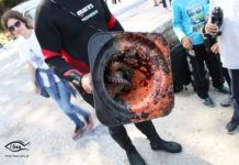 Σκουπιδότοποι οι παραλίες των νησιών του Βορειοανατολικού Αιγαίου,φωτογραφίες