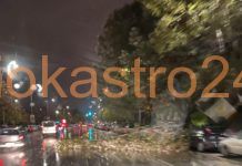 Τώρα πτώση δέντρου στο κέντρο της Θεσσαλονίκης