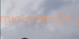 Πανέμορφοι παπαγάλοι εμφανίστηκαν στο Ωραιόκαστρο