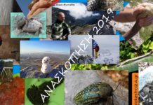Ανασκόπηση 2019 με τις πιο Όμορφες Εικόνες