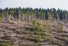 Στη δημοσιότητα η φετινή έκθεση του WWF για την περιβαλλοντική νομοθεσία στην Ελλάδα