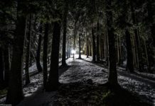 Οι πιο όμορφες Χριστουγεννιάτικες εικόνες απαθανατίστηκαν στο Περτούλι